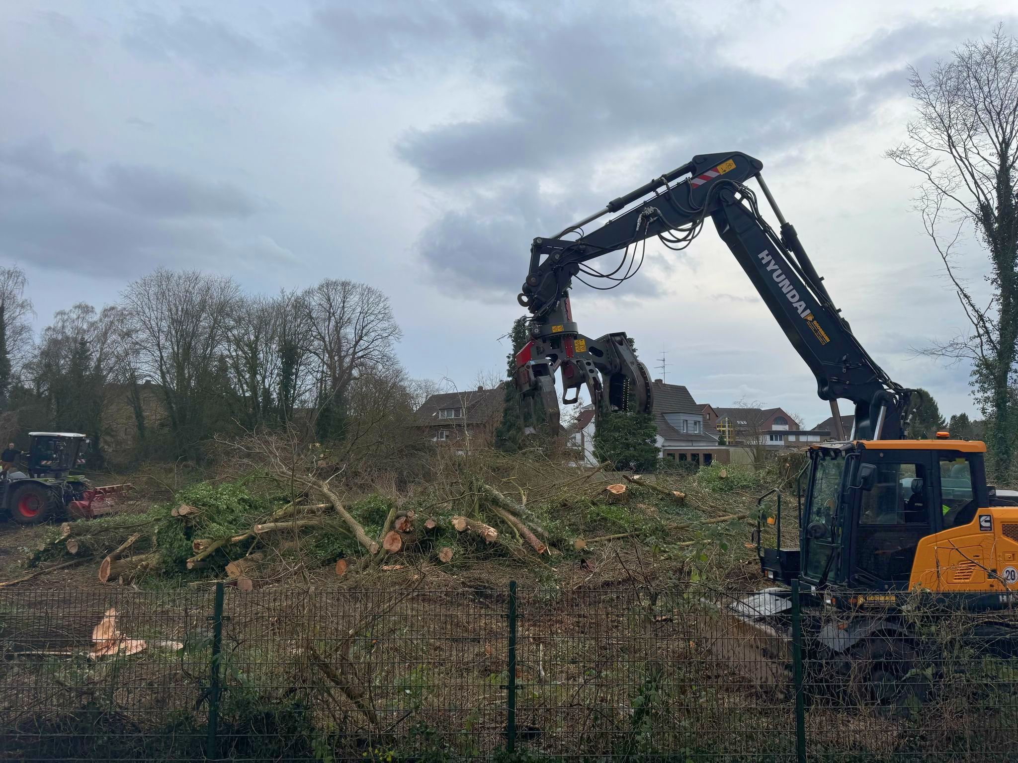 Rodungsarbeiten mit einem Bagger auf einem Gelände in der Innenstadt