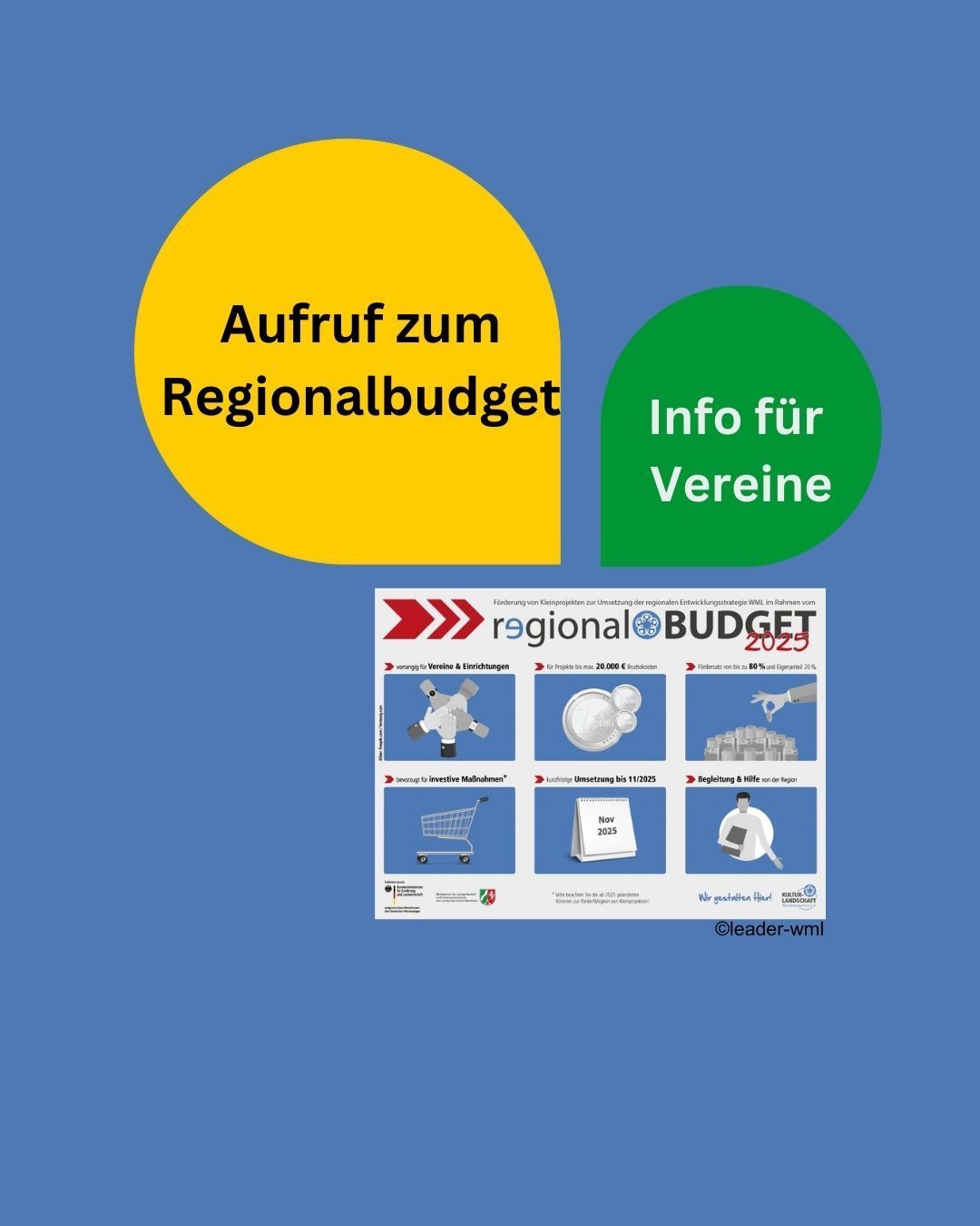 Grafik zur Info zum Regionalbudget