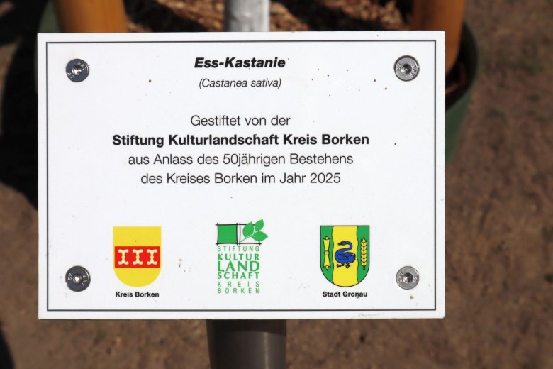 Schild mit der Beschreibung zur Eßkastanie