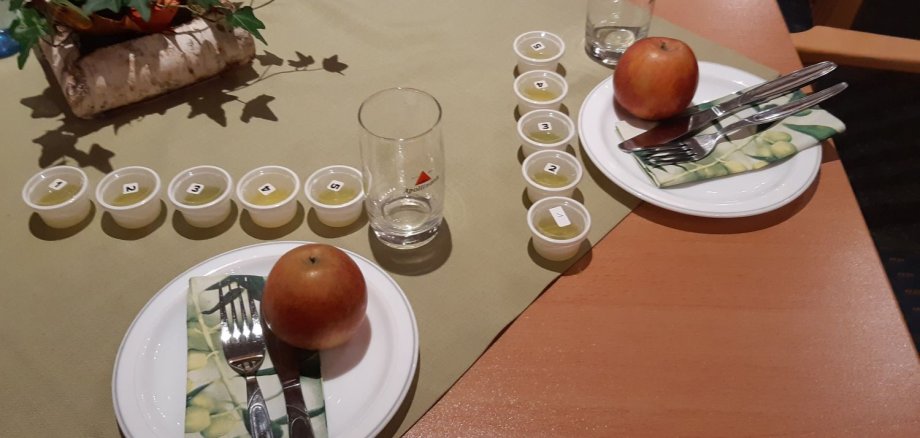 Vorbereiteter Tisch mit nummerierten Olivenöl-Proben und Gedecken für eine Verkostung