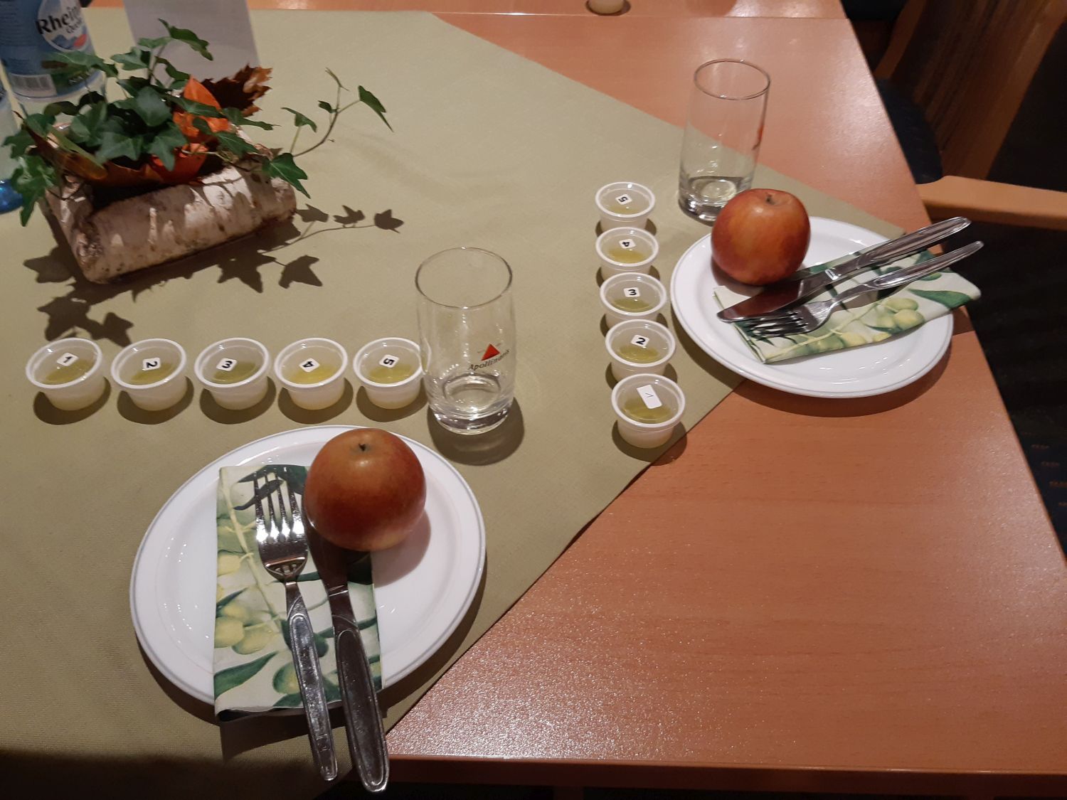 Vorbereiteter Tisch mit nummerierten Olivenöl-Proben und Gedecken für eine Verkostung