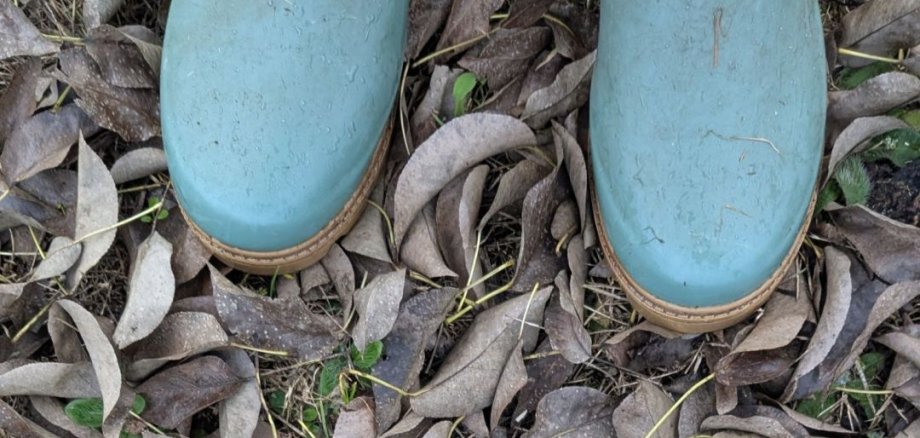 Gummistiefel im Herbstlaub