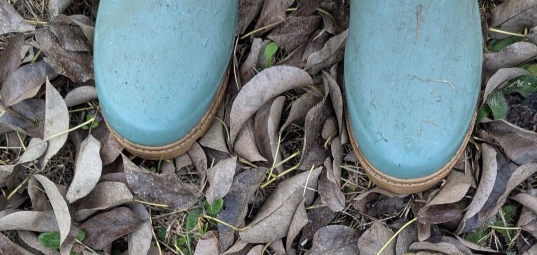 Gummistiefel im Herbstlaub