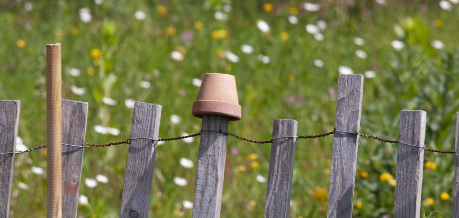 Holzzaun vor einer Wiese mit Wildblumen, auf einem Zaunpfosten steckt ein kleiner Tontopf