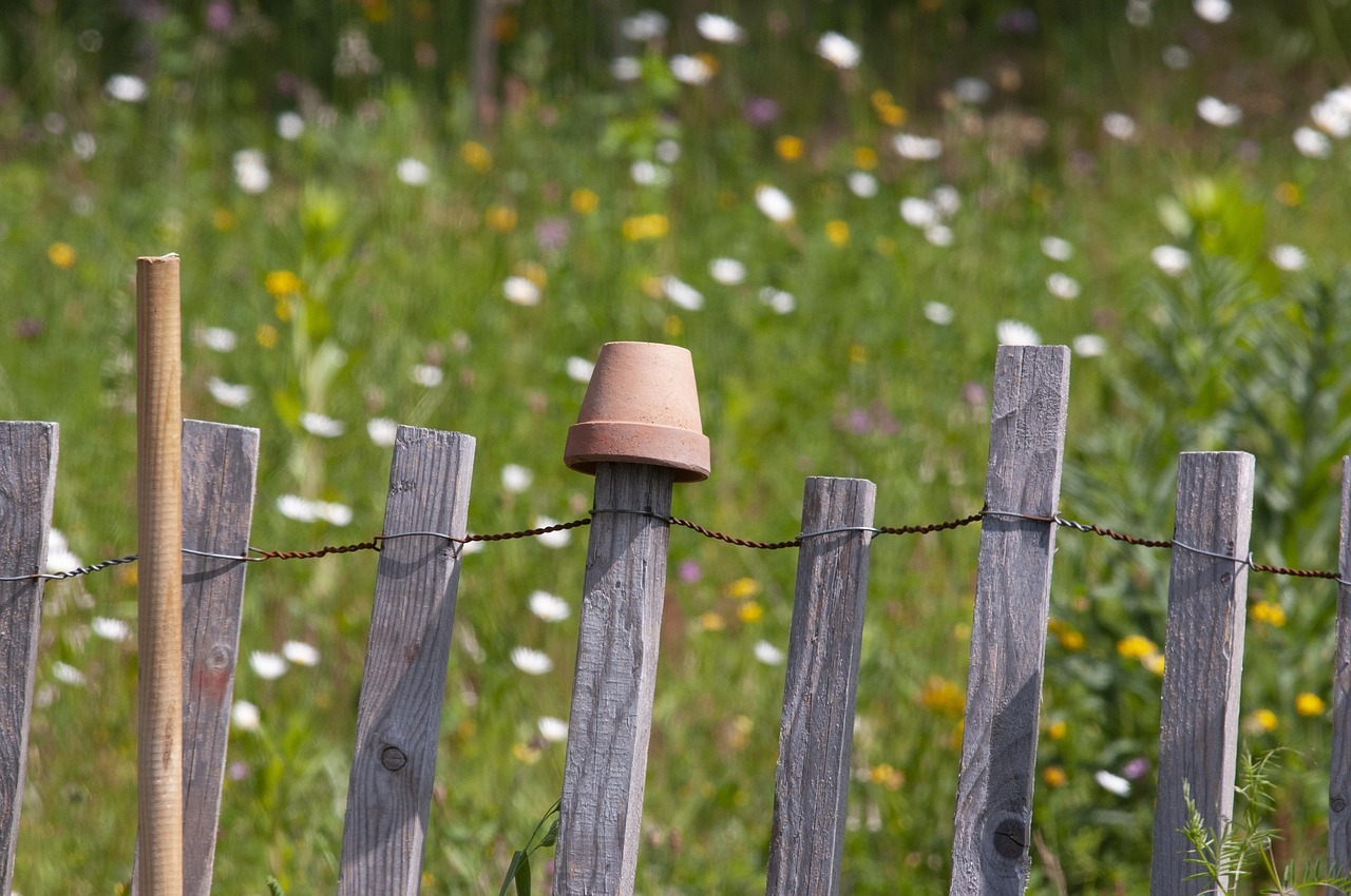 Holzzaun vor einer Wiese mit Wildblumen, auf einem Zaunpfosten steckt ein kleiner Tontopf