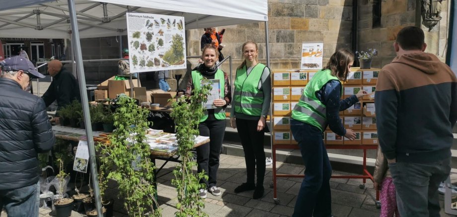 Mitarbeitende am Stand der Pflanzen- und Saatguttauschbörse beim Frühlingsfest in Epe