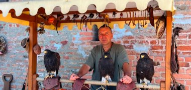 Bei der Stadtbesichtigung in Gyula konnten die Teilnehmer:innen auch Greifvögel aus nächster Nähe erleben.