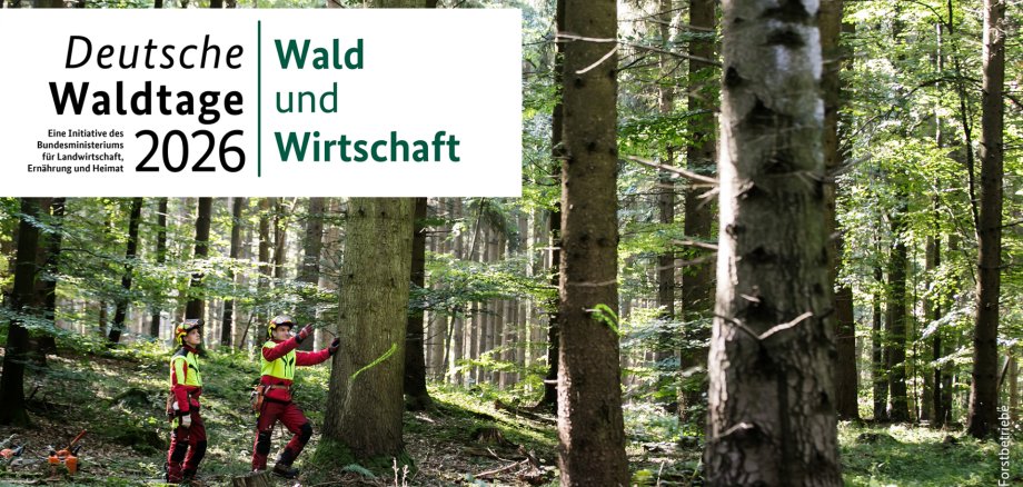 Deutsche Waldtage 2026 Deutsche Wakdtage 2026