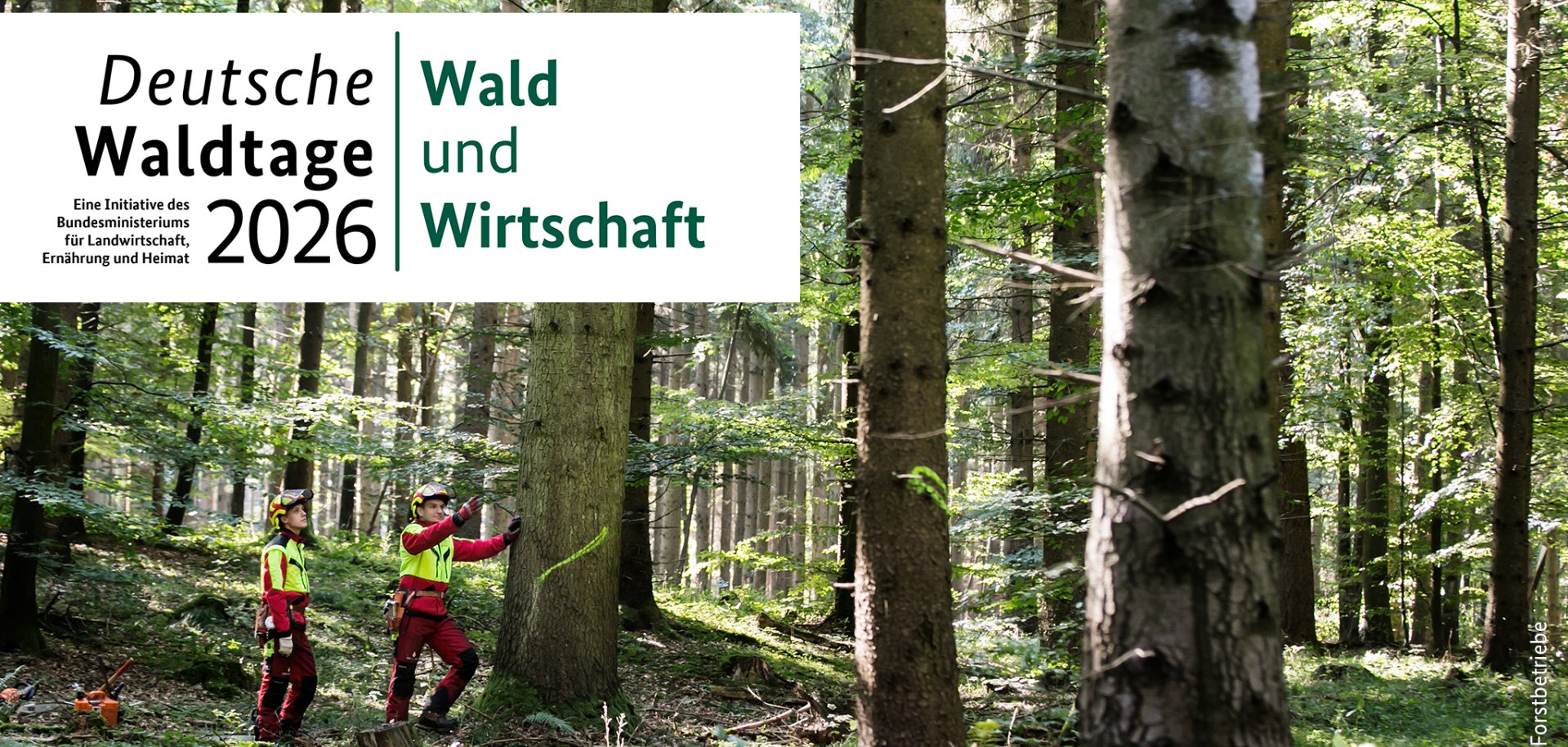 Deutsche Wakdtage 2026