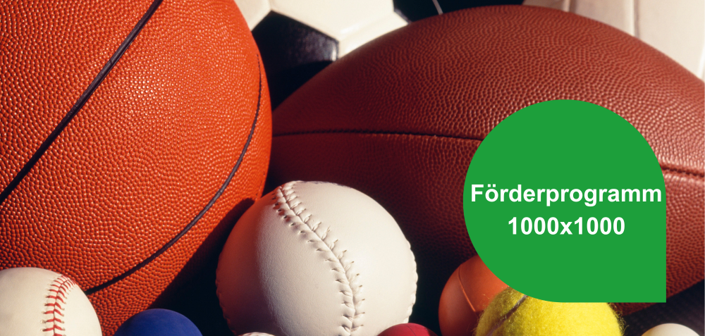 Teaserbild 1000x1000: verschiedene Bälle