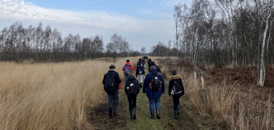 Gruppe wandert durch eine Moorlandschaft