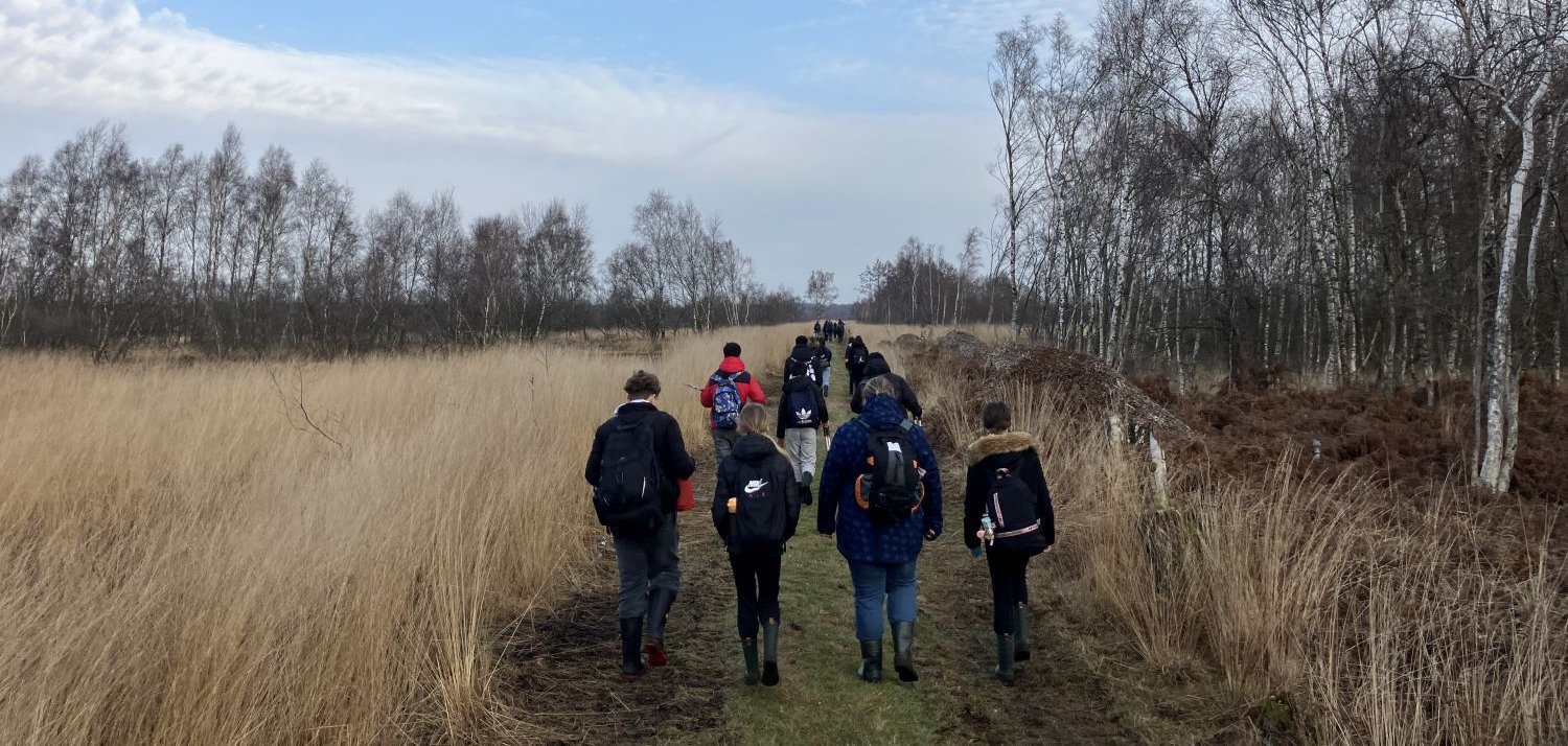 Gruppe wandert durch eine Moorlandschaft