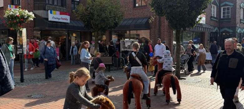 Michaelismarkt Pony Michaelismarkt Pony
